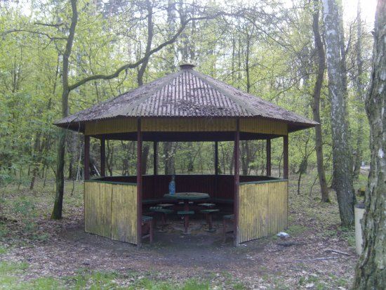 Park Kultury w Powsinie